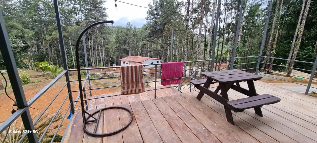 Deck de madera junto al bosque